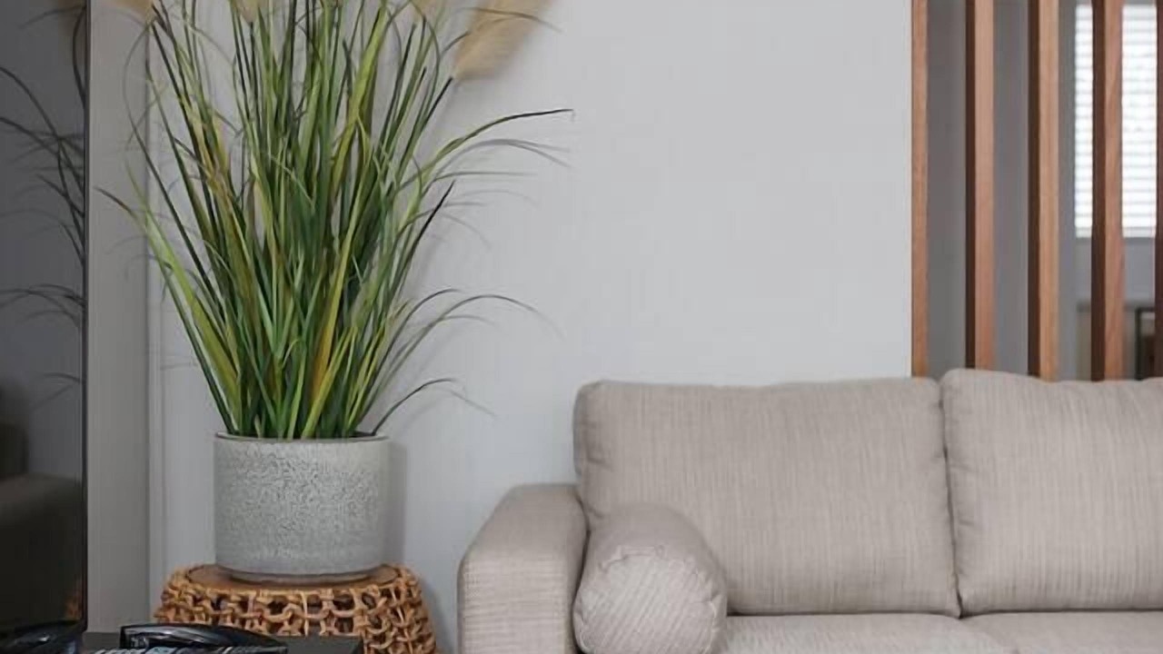 Photo of Livingroom in Glen Iris