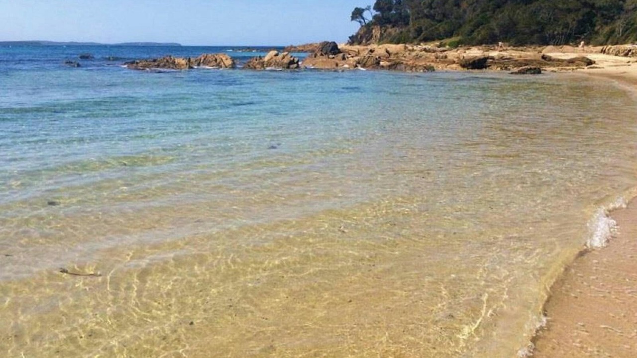 Photo of Others in Moruya Heads