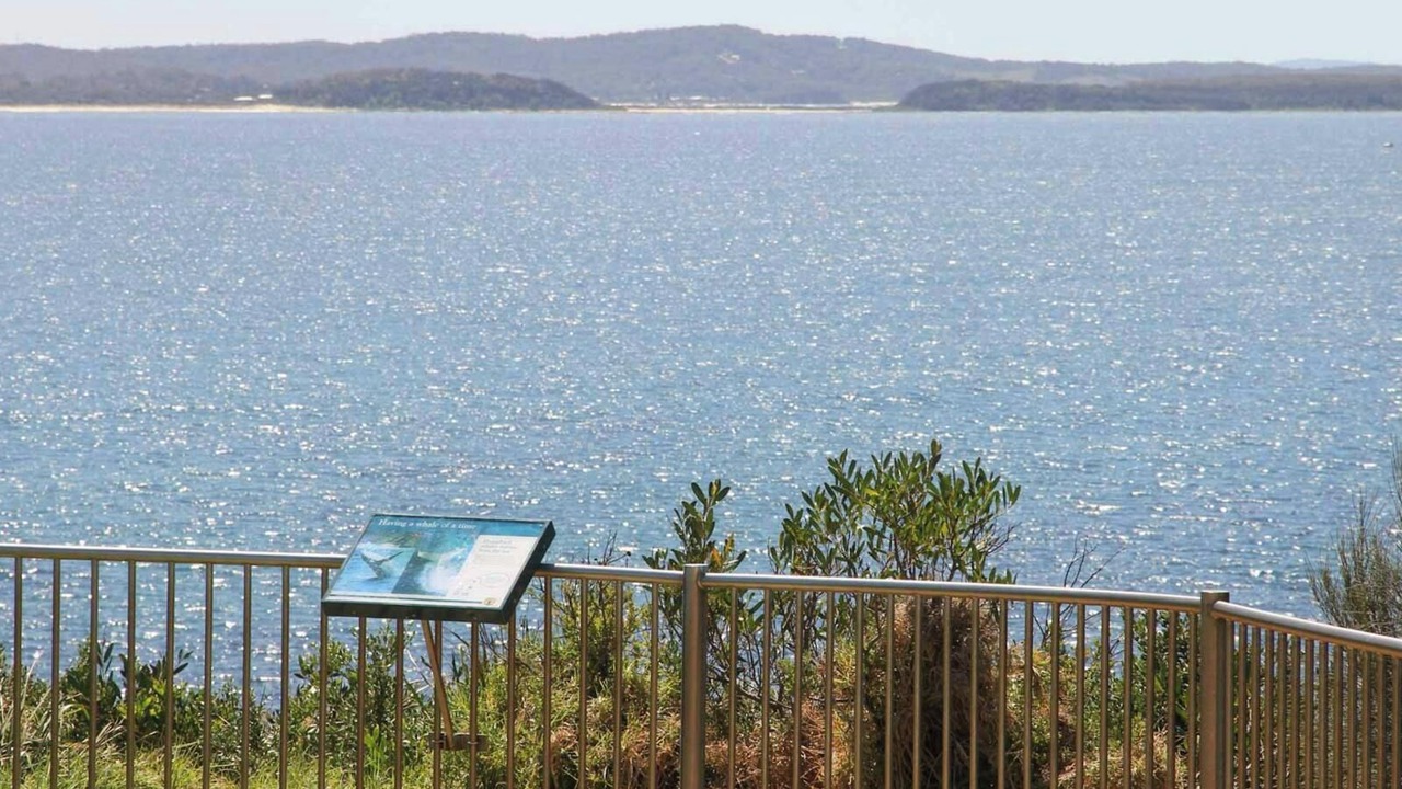 Photo of Outdoor in Moruya Heads