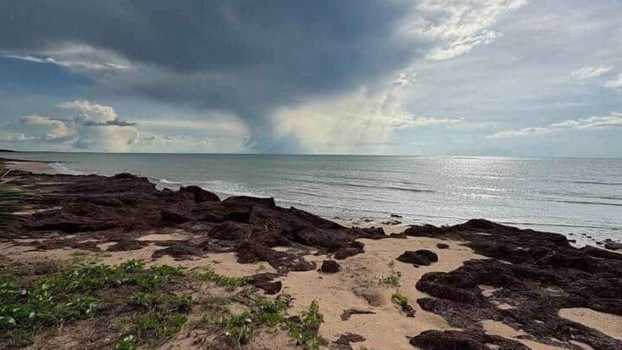 Photo of Others in Dundee Beach