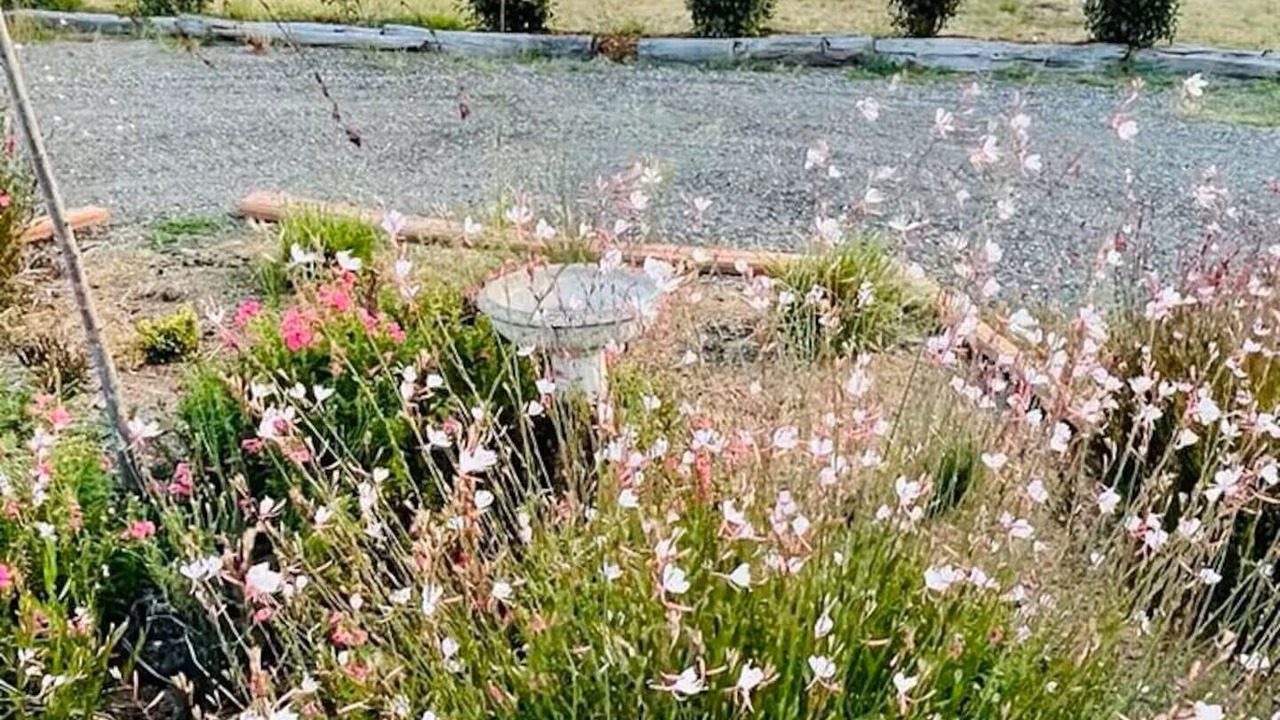 Photo of Outdoor in Gundaroo