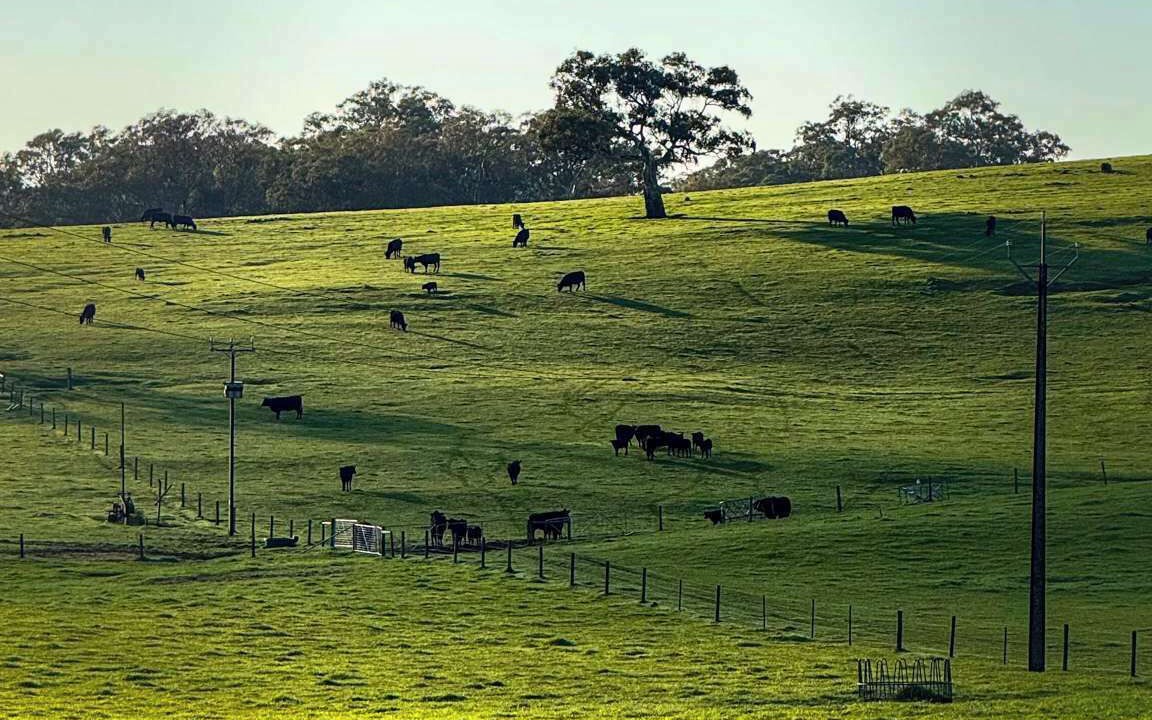Photo of Others in Talunga