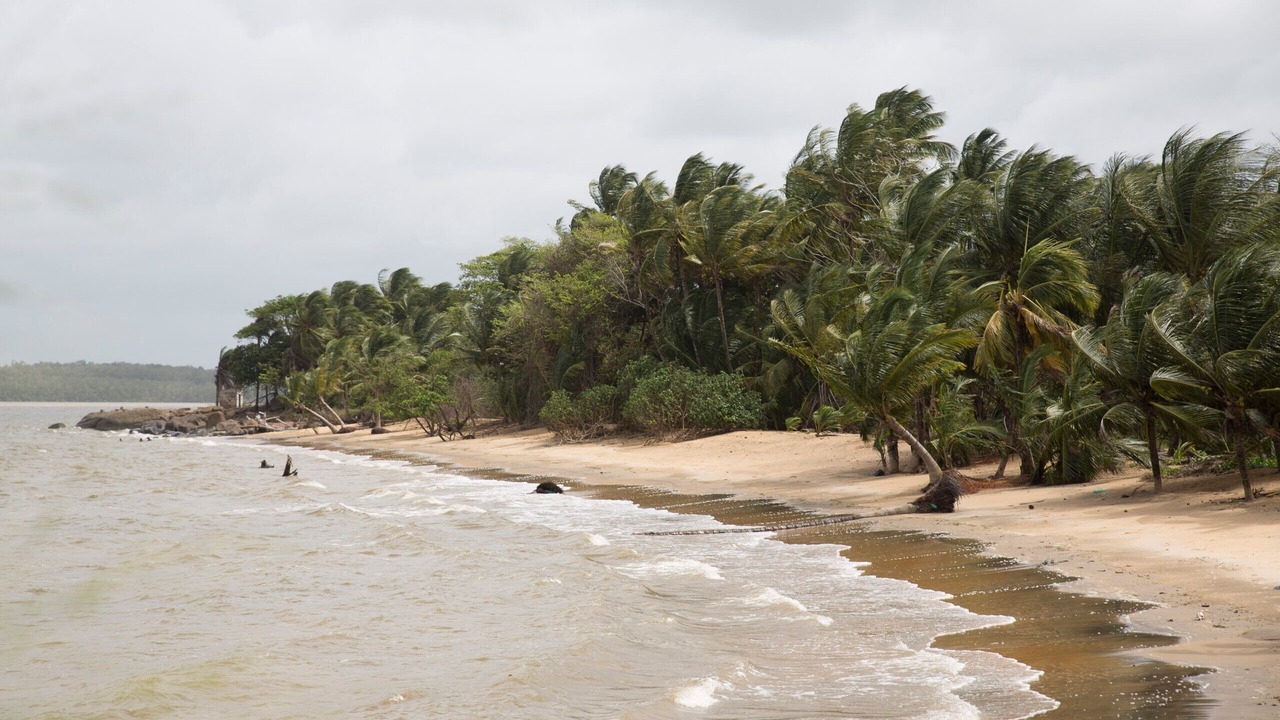 Photo of Others in Cayenne