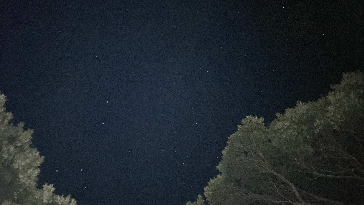Photo of Others in Warburton