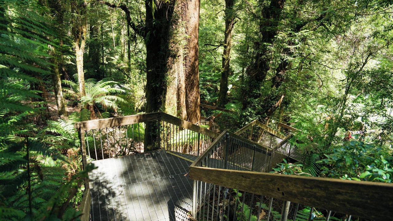 Photo of Outdoor in Warburton