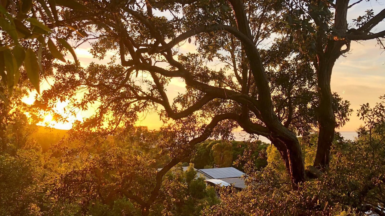 Photo of Outdoor in Killcare