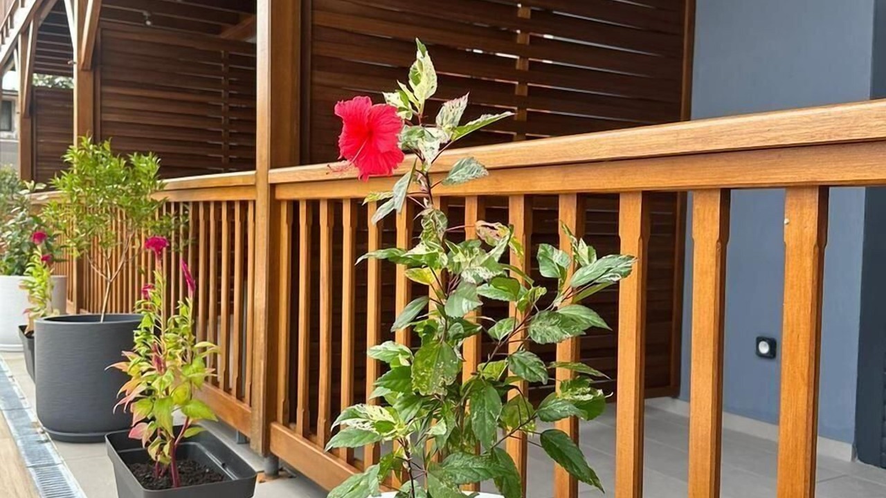 Photo of Outdoor in Cayenne
