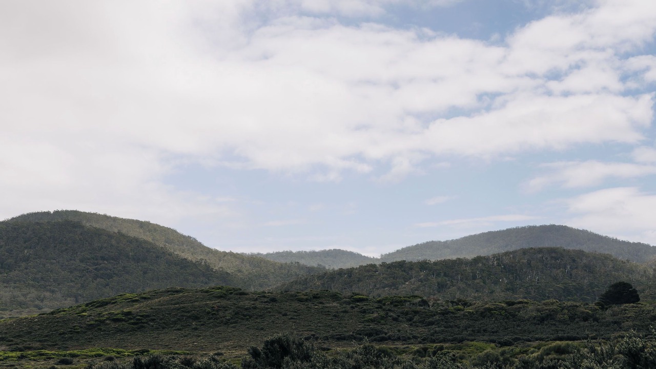 Photo of Others in Tasman Peninsula