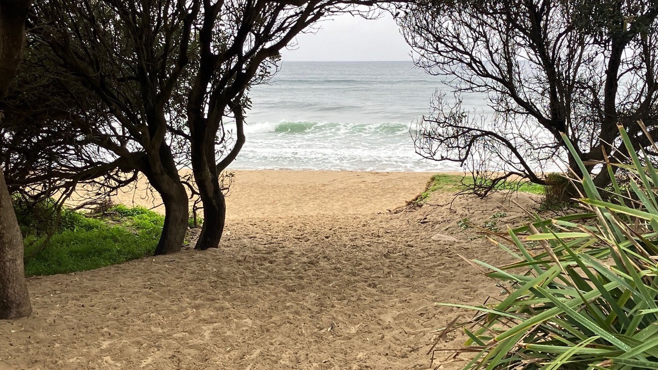 Photo of Others in Shoalhaven Heads