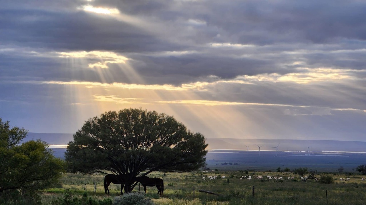Photo of Outdoor in Woolundunga