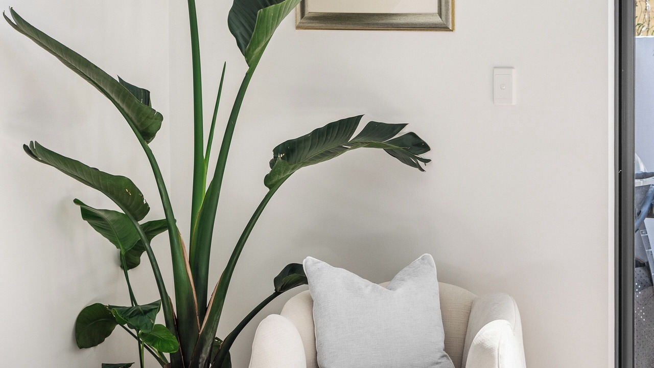 Photo of Livingroom in Margaret River