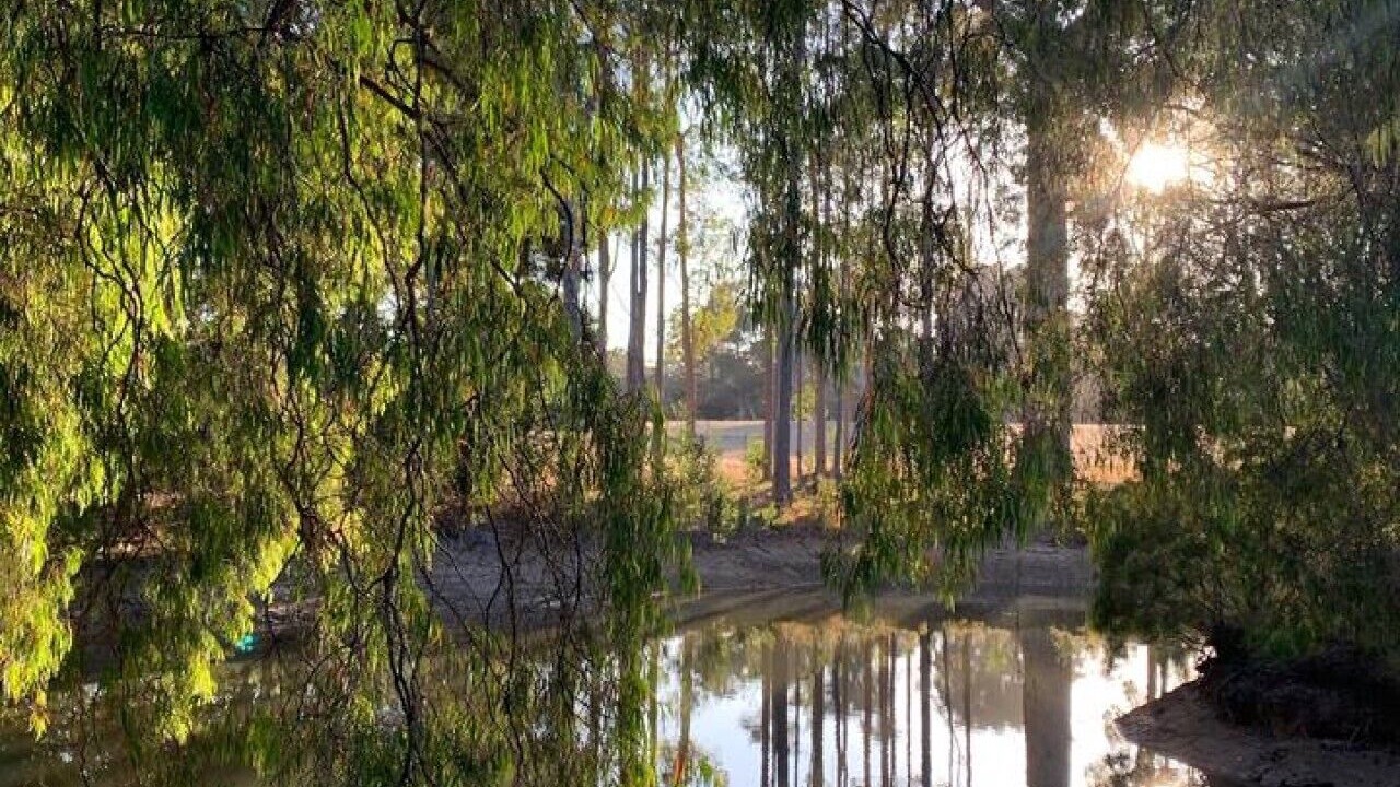 Photo of Others in Rosa Brook