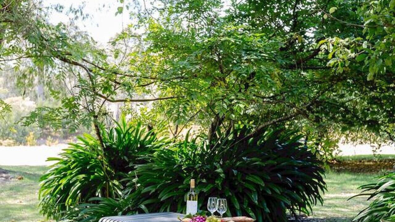 Photo of Outdoor in Rosa Brook