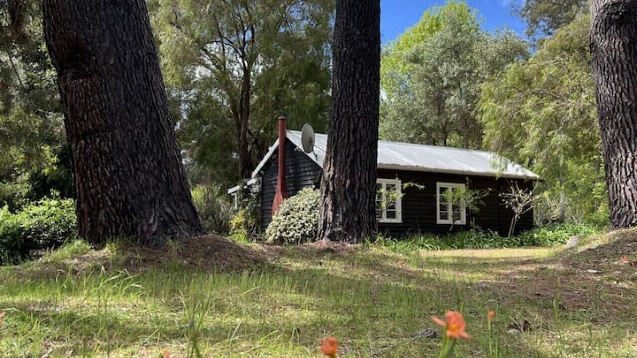 Photo of Outdoor in Rosa Brook