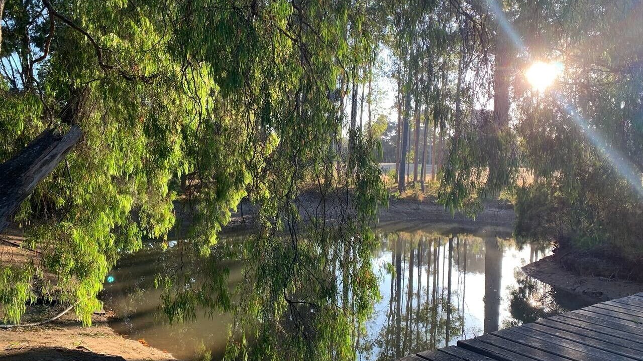 Photo of Others in Rosa Brook