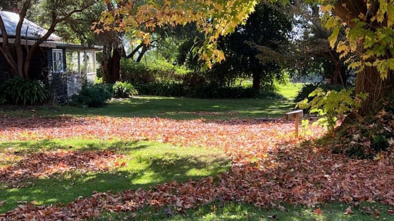 Photo of Outdoor in Rosa Brook