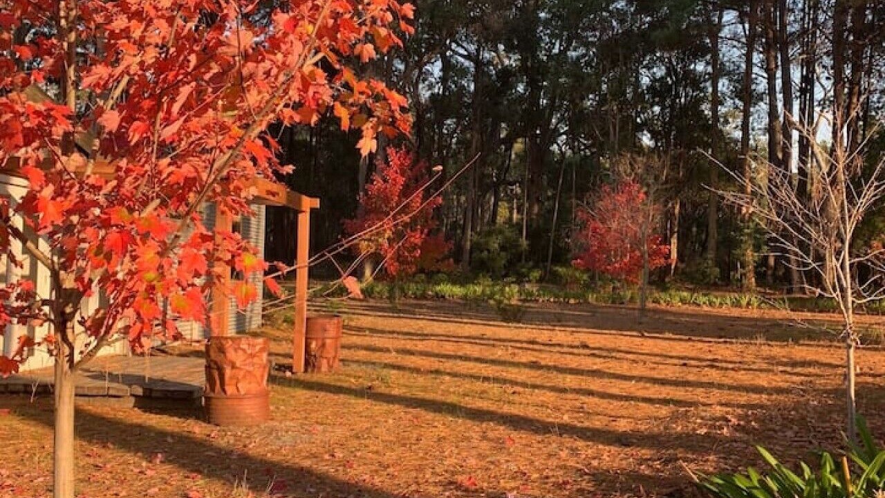 Photo of Outdoor in Rosa Brook