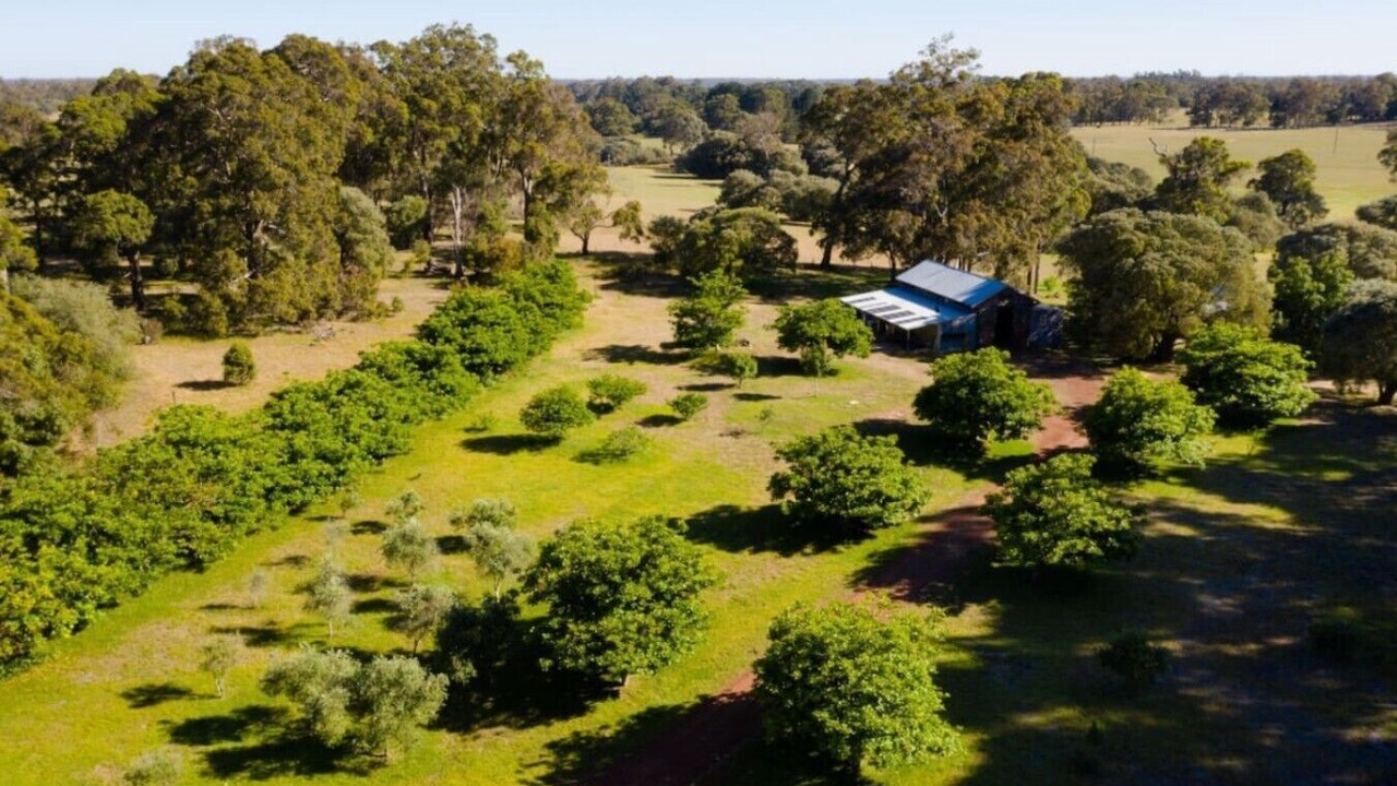 Photo of Outdoor in Rosa Brook