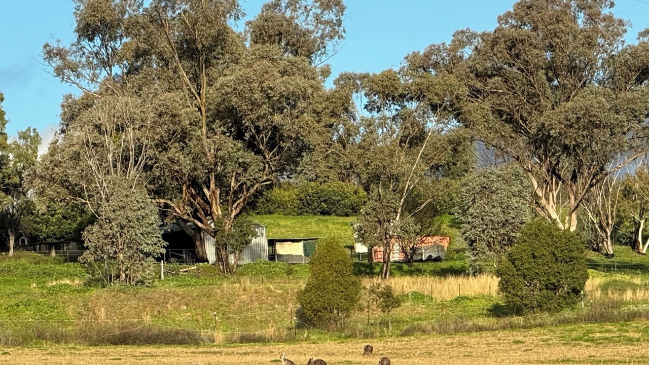 Photo of Others in North Tamworth