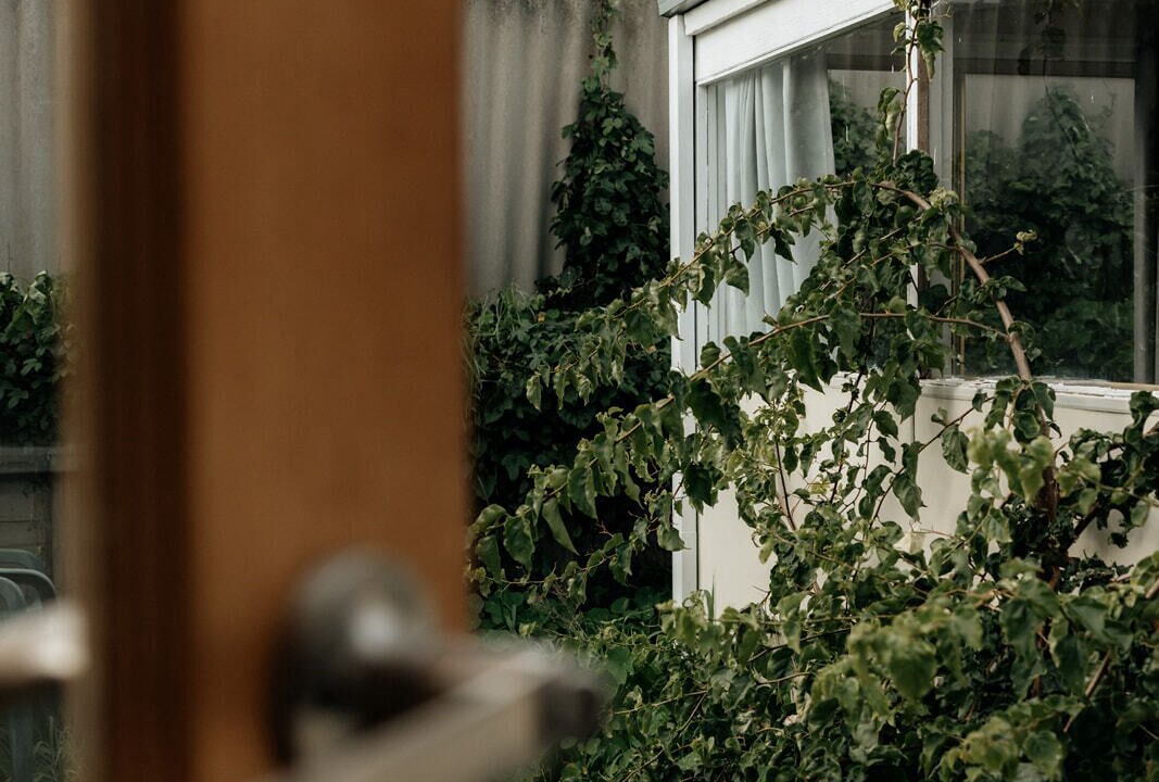 Photo of Outdoor in Albany