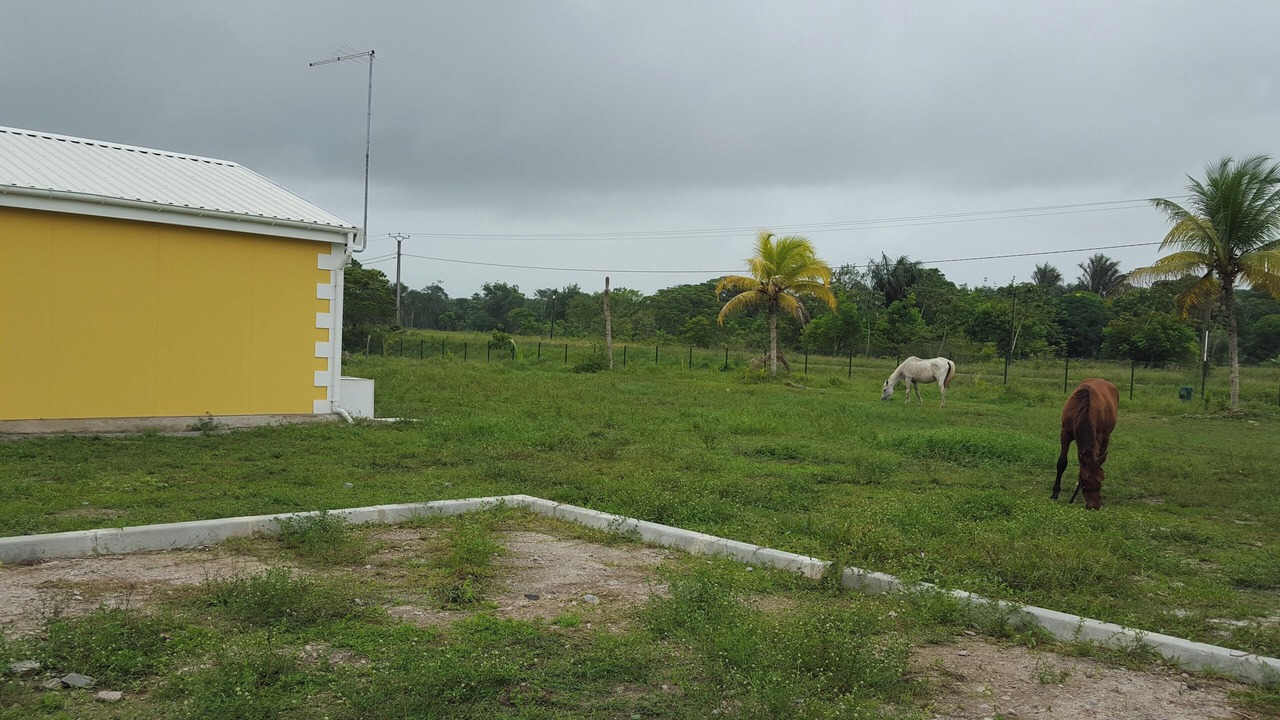 Photo of Others in Macouria