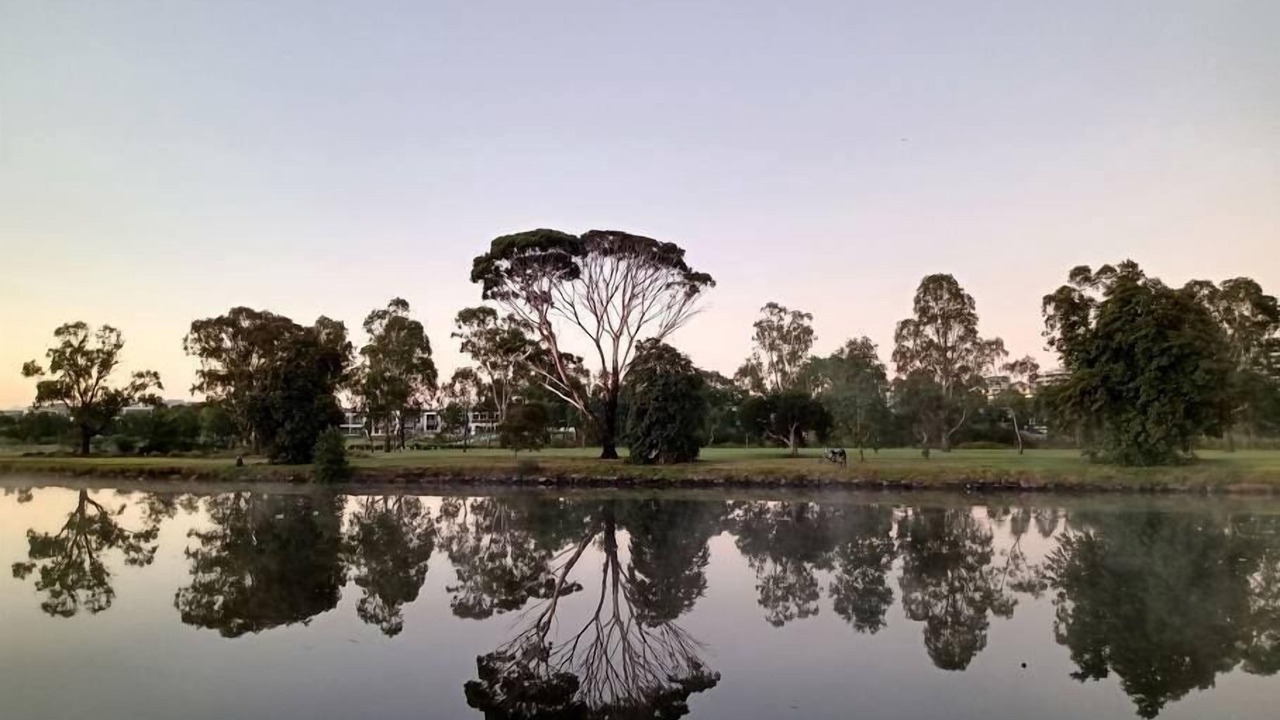 Photo of Outdoor in Footscray