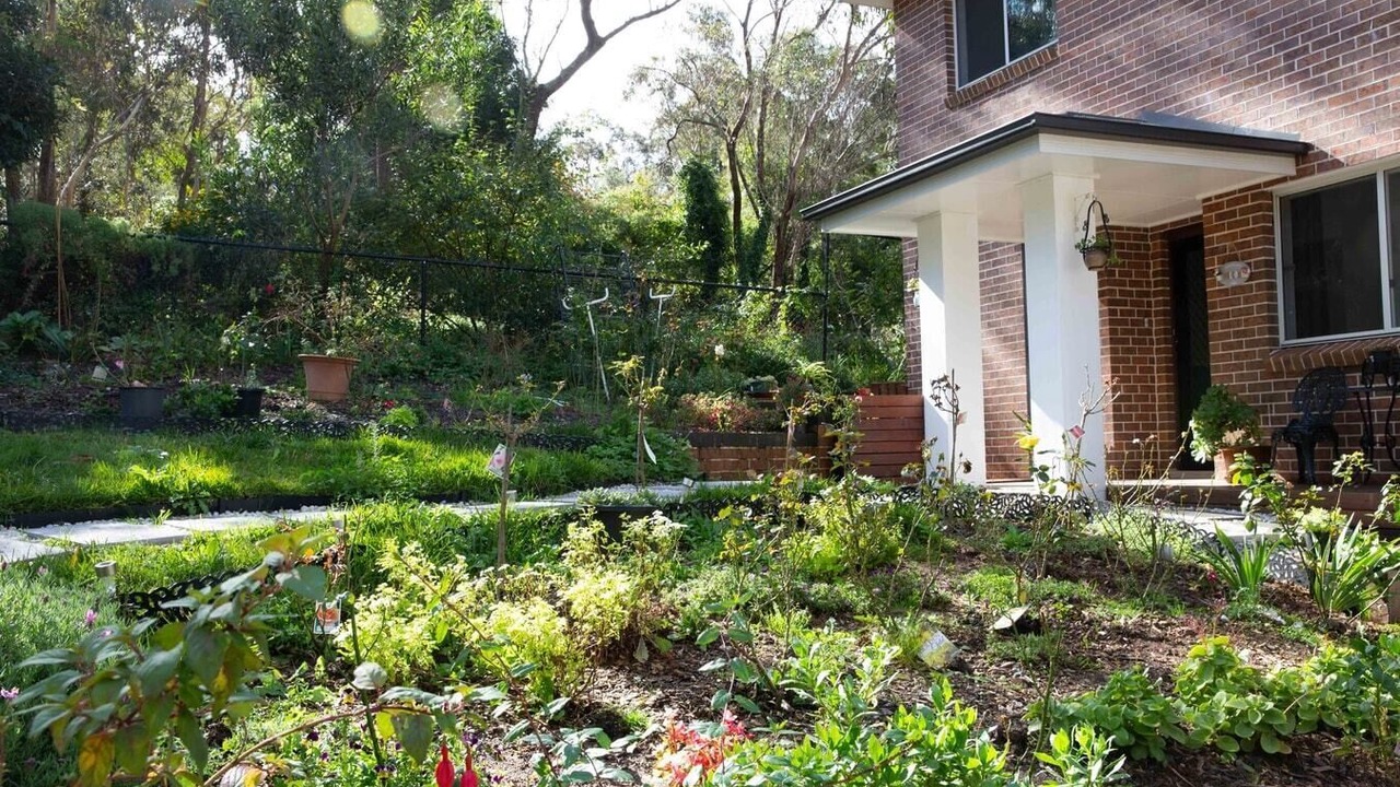 Photo of Outdoor in Katoomba