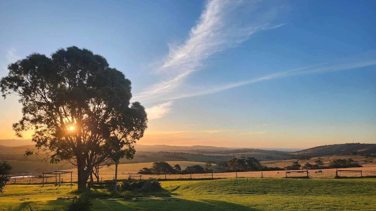 Photo of Others in Bald Hills