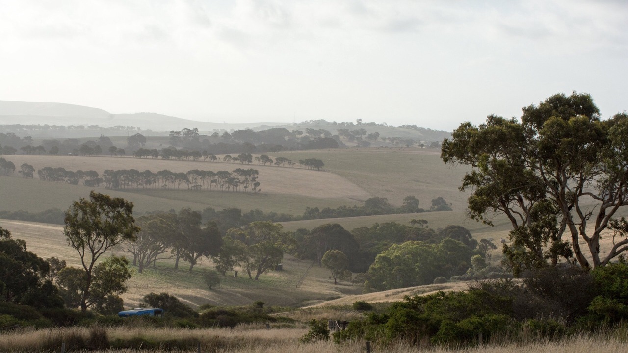 Photo of Others in Bald Hills