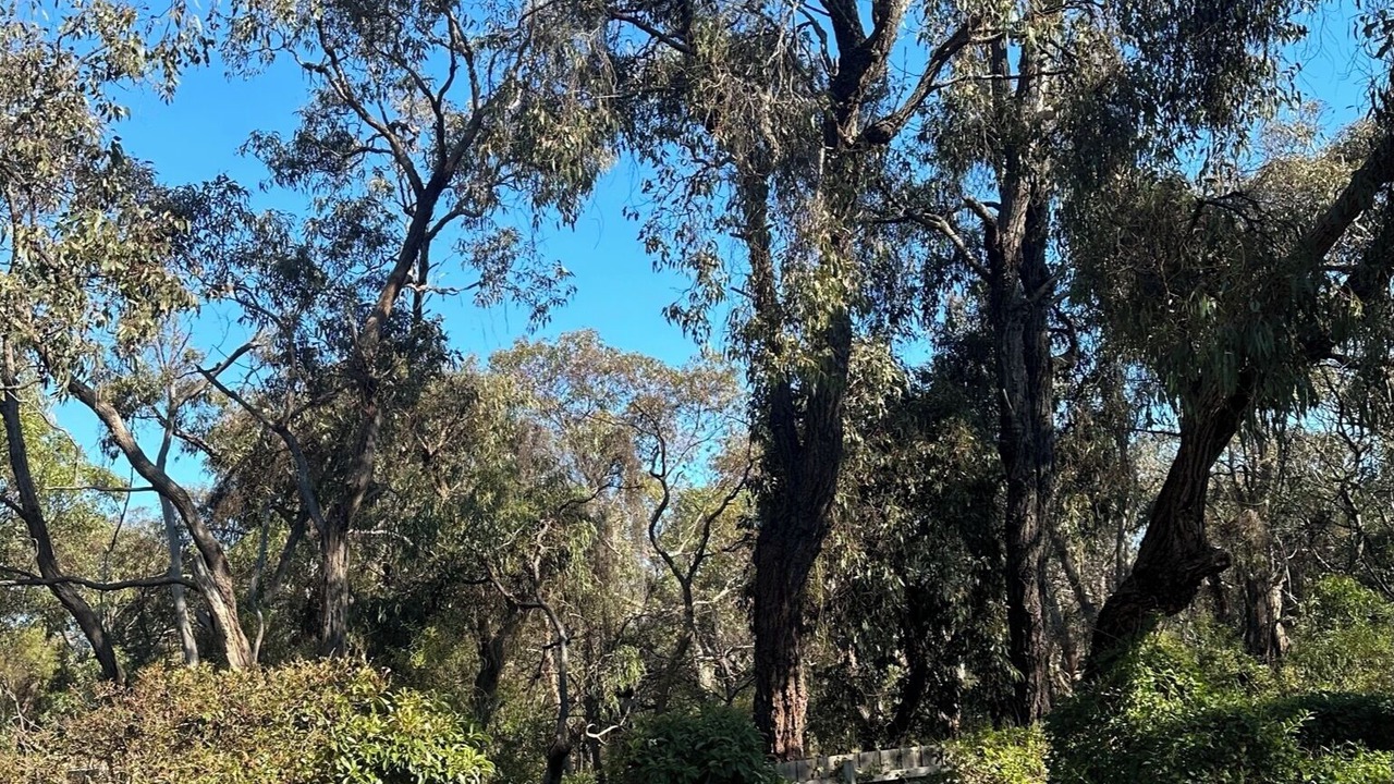 Photo of Outdoor in Surf Coast