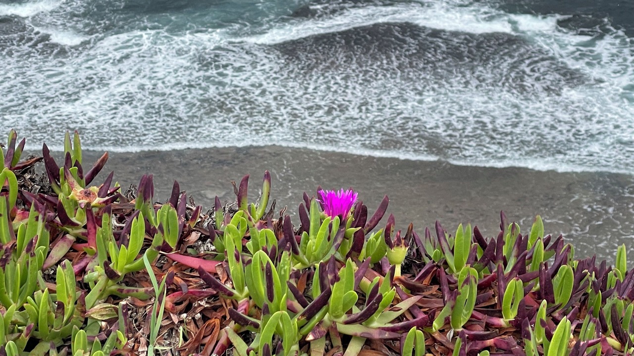 Photo of Outdoor in Narrabeen