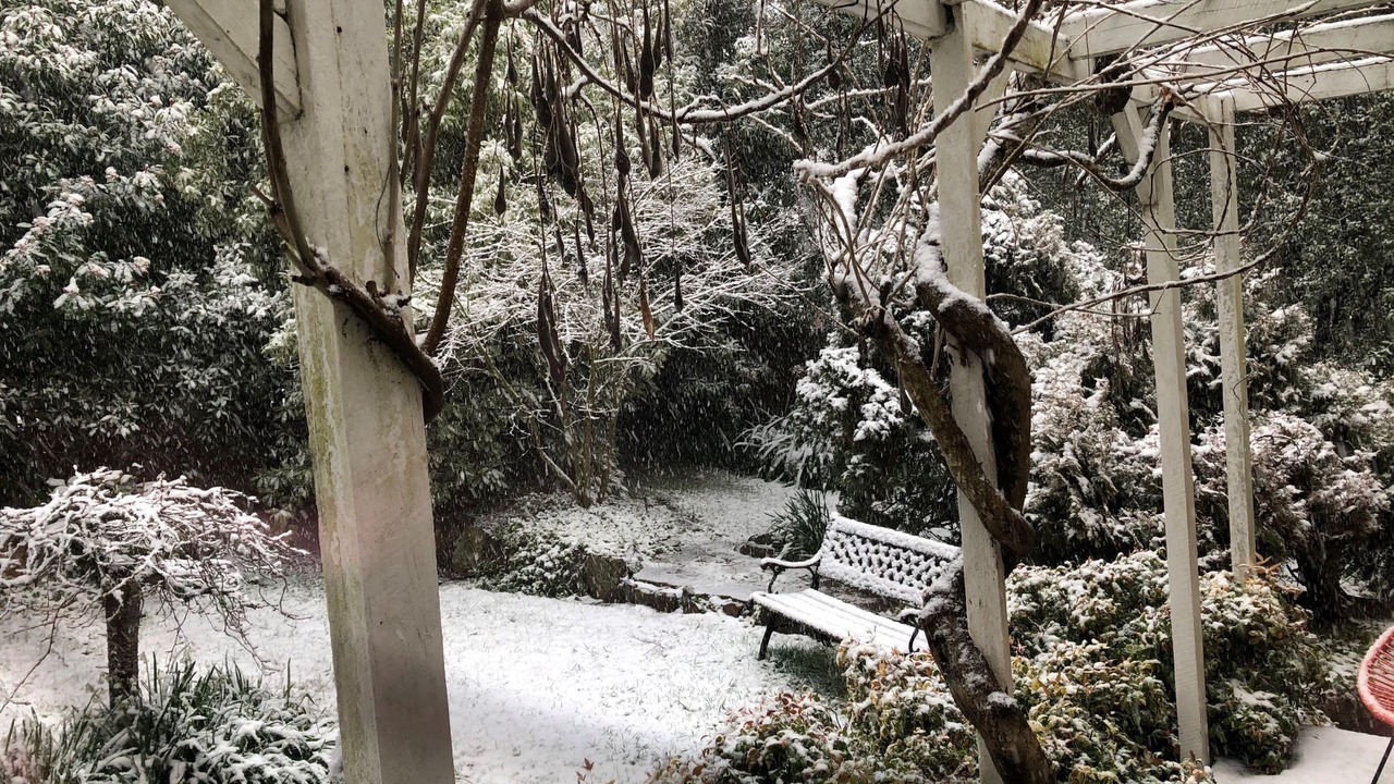 Photo of Outdoor in Blackheath