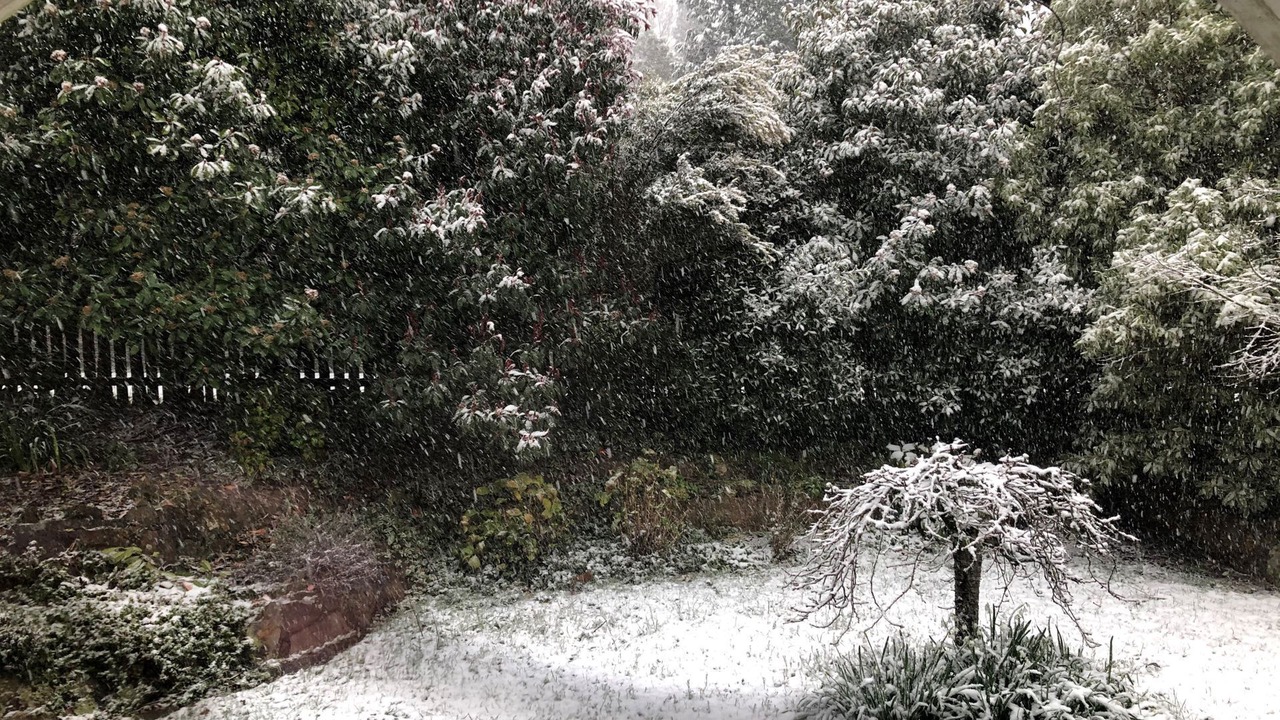 Photo of Outdoor in Blackheath