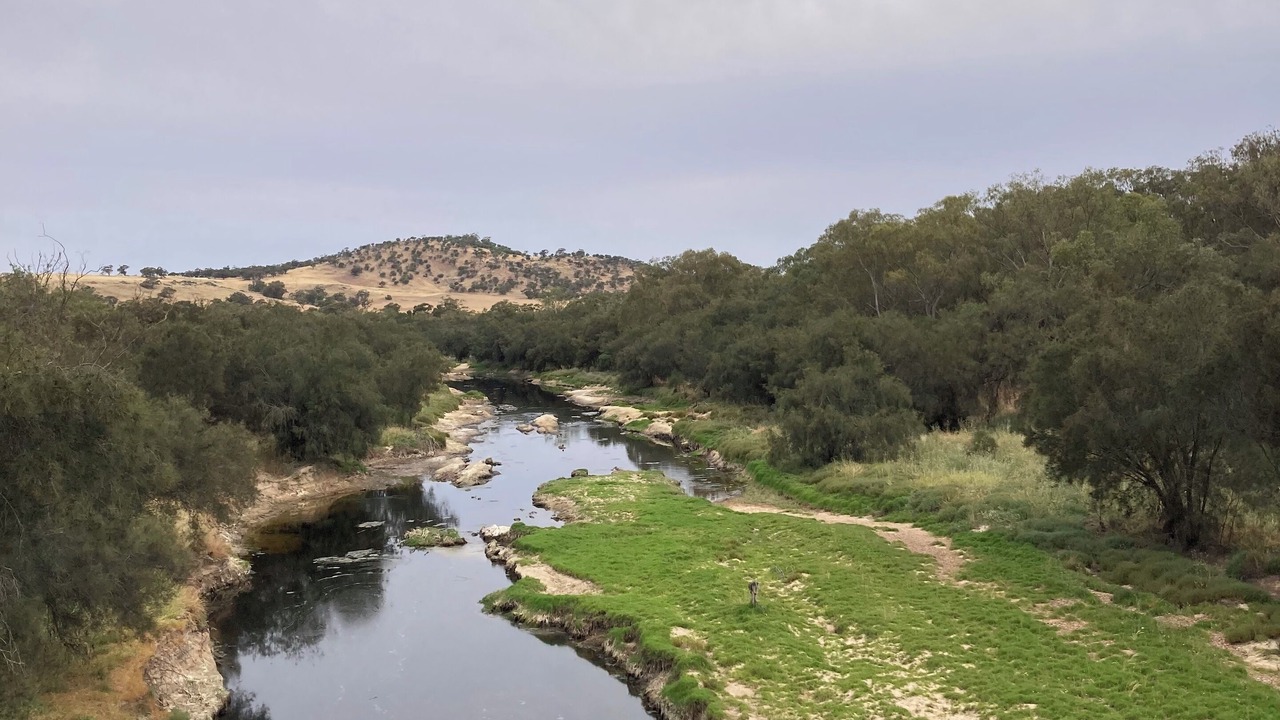 Photo of Others in Toodyay
