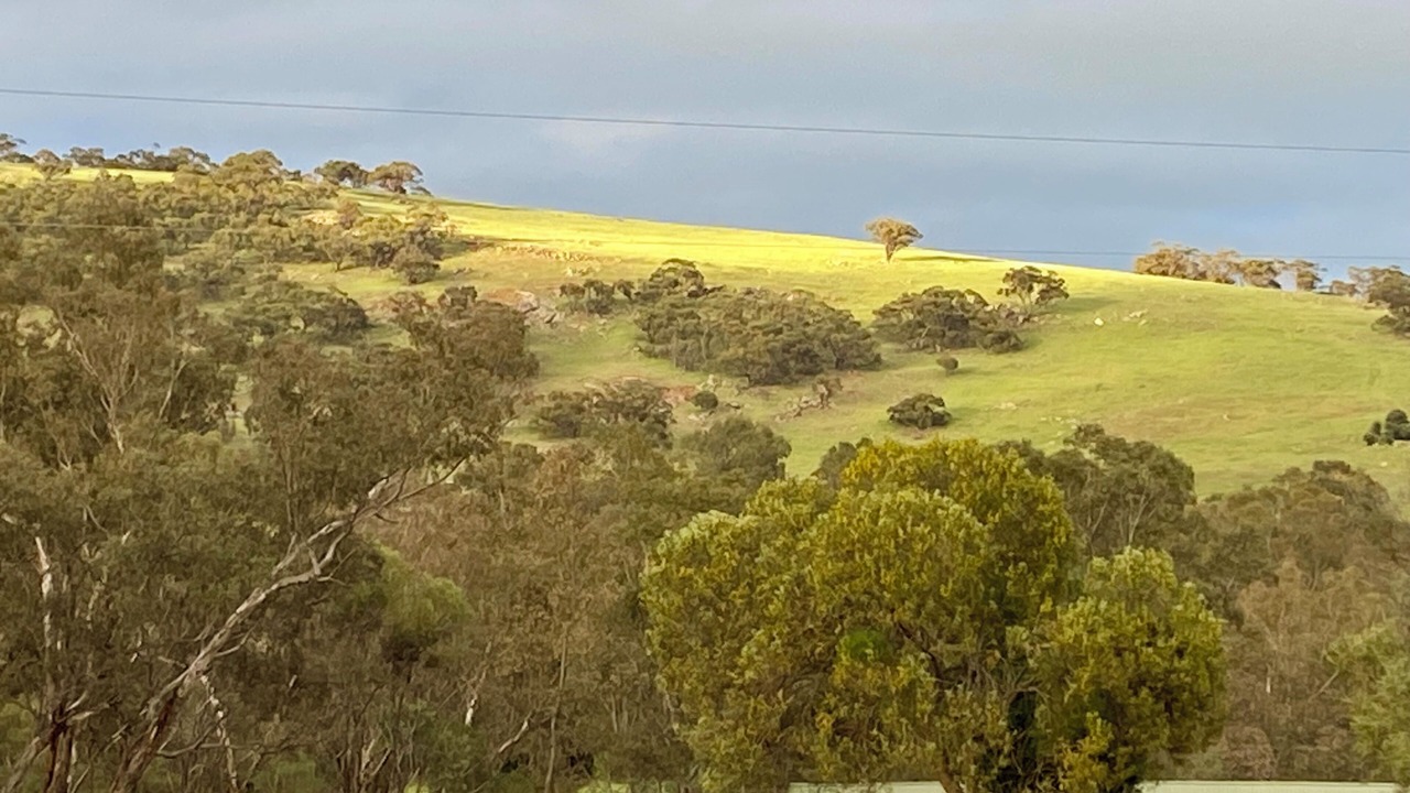 Photo of Bedroom in Toodyay