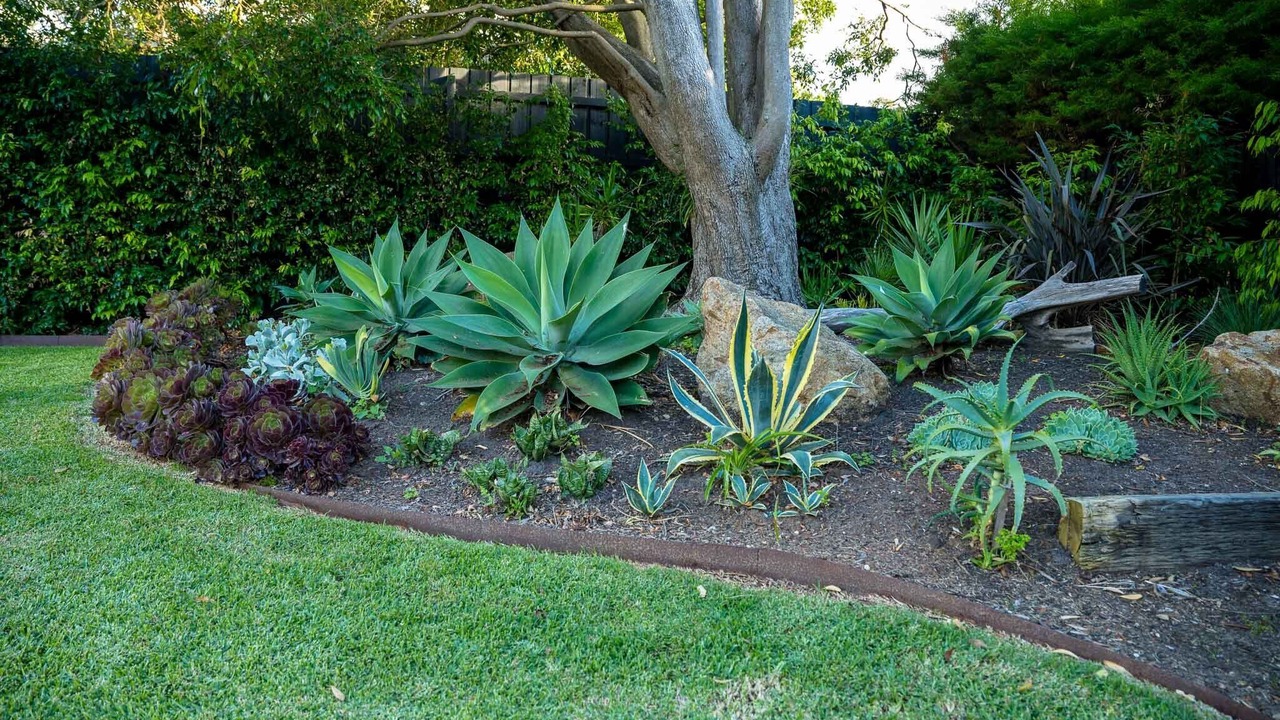 Photo of Outdoor in Mount Eliza