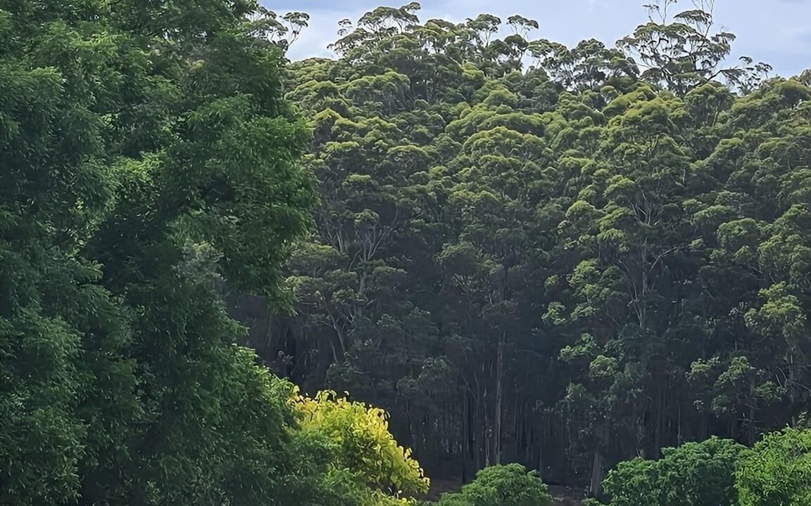 Photo of Others in Pemberton
