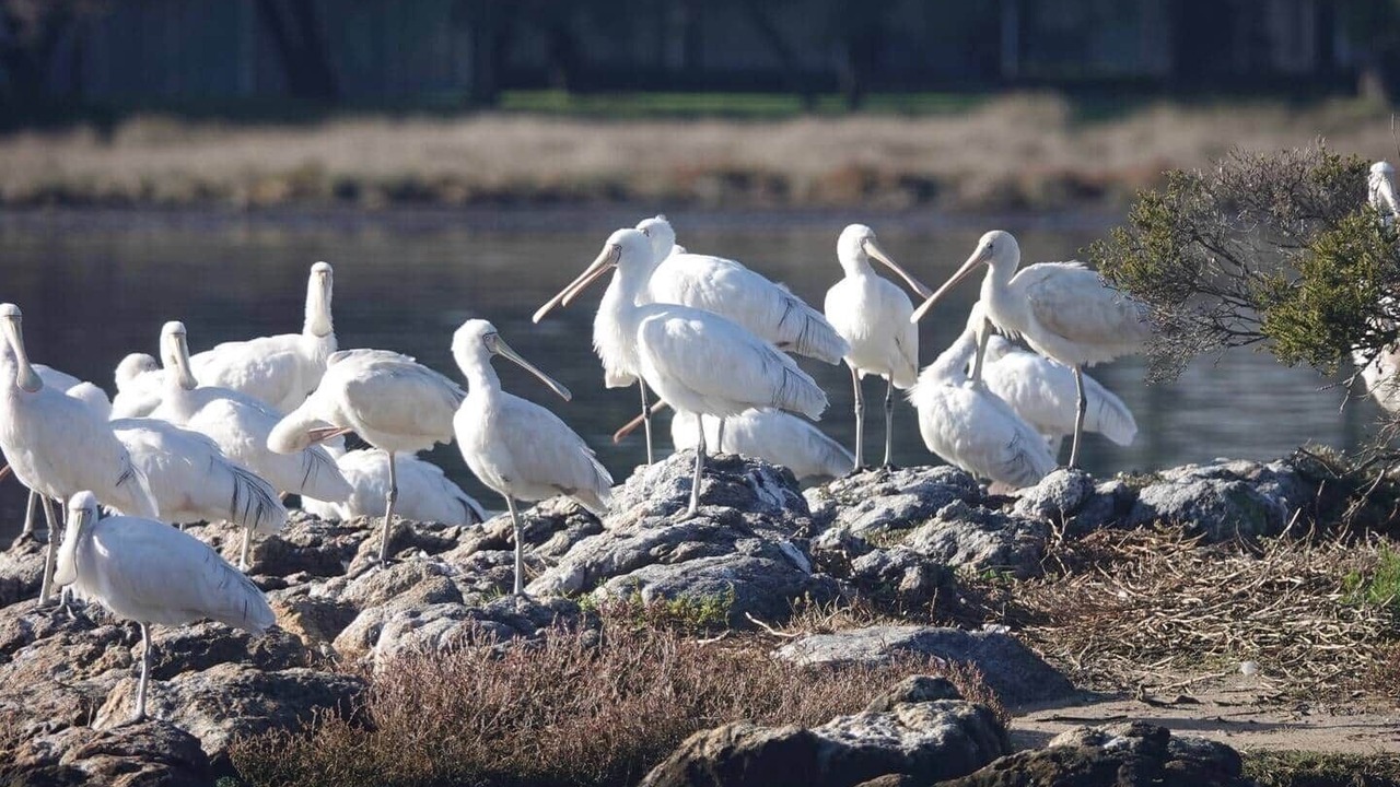 Photo of Others in Augusta