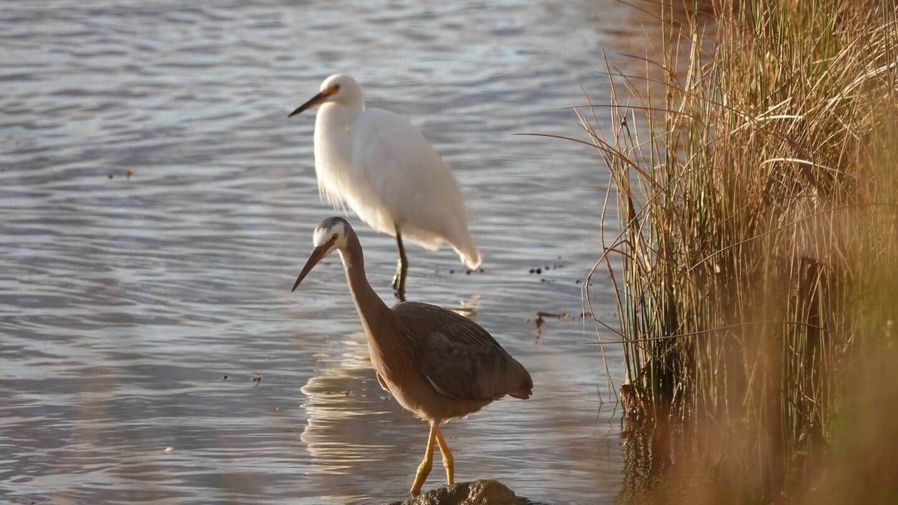 Photo of Others in Augusta