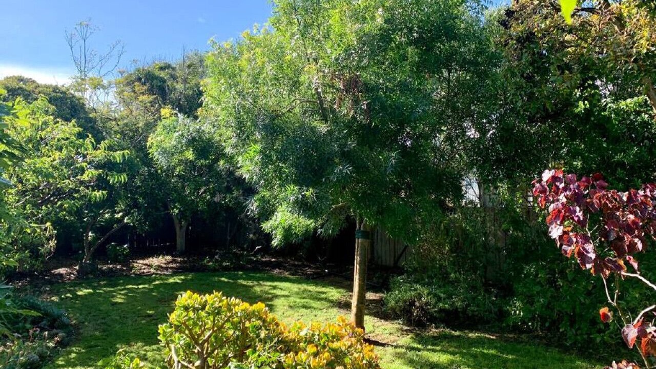 Photo of Outdoor in Torquay