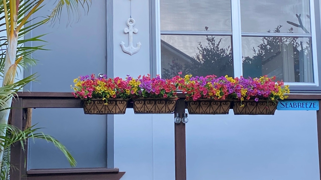 Photo of Outdoor in Forresters Beach