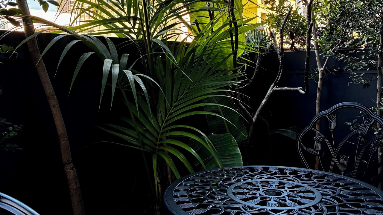 Photo of Outdoor in Surry Hills