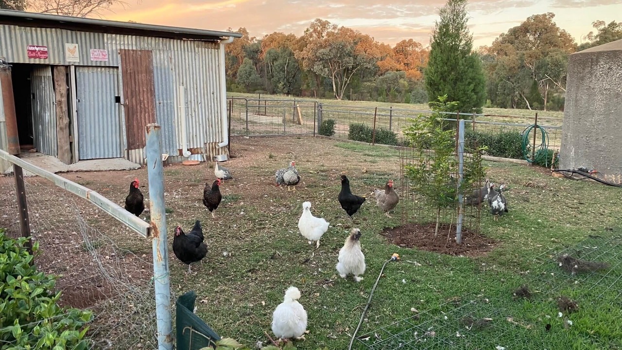 Photo of Others in Parkes