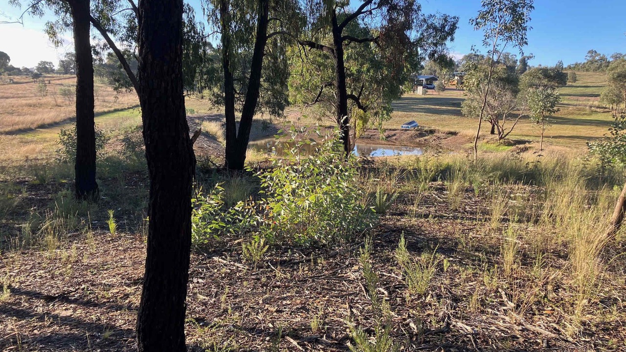 Photo of Outdoor in Parkes