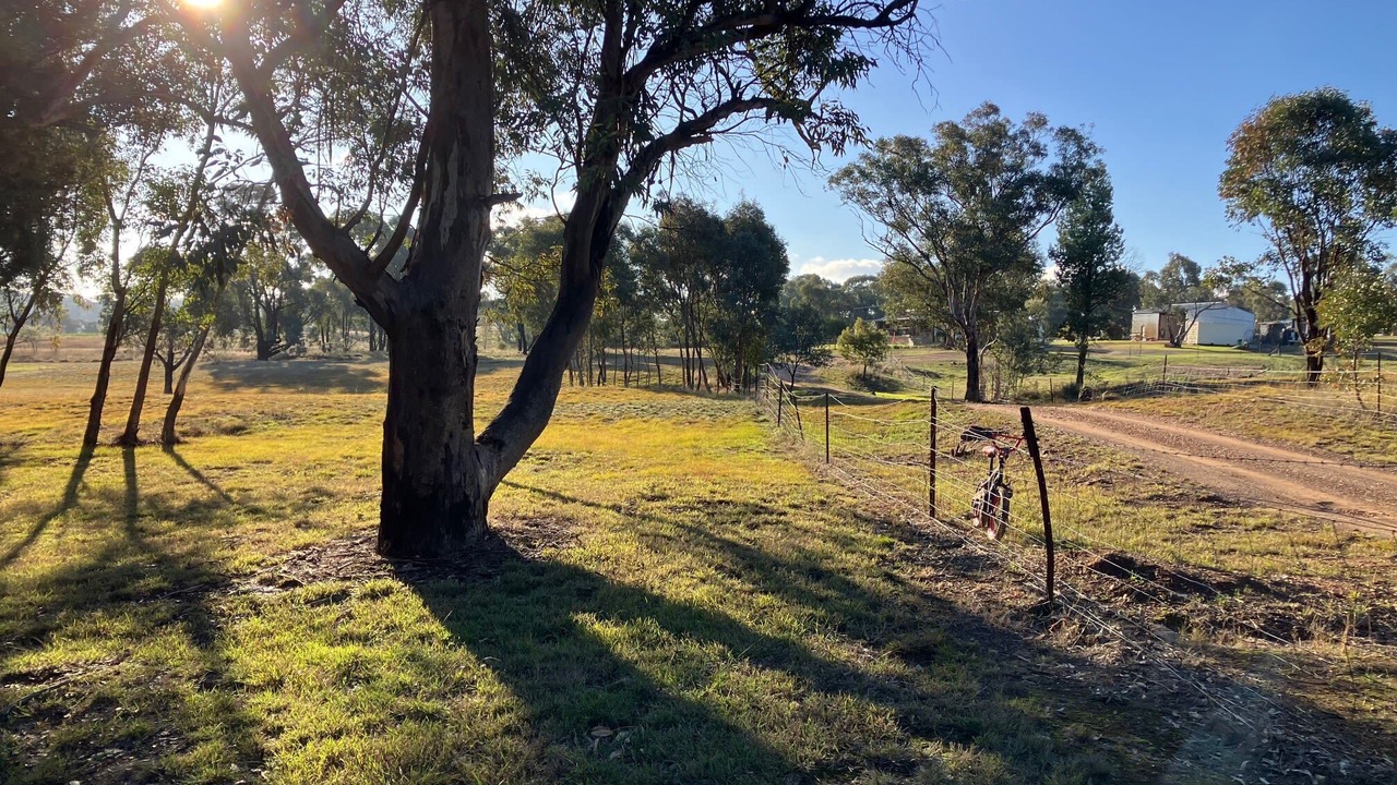 Photo of Others in Parkes