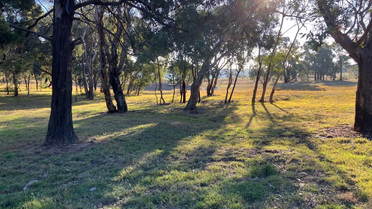 Photo of Others in Parkes