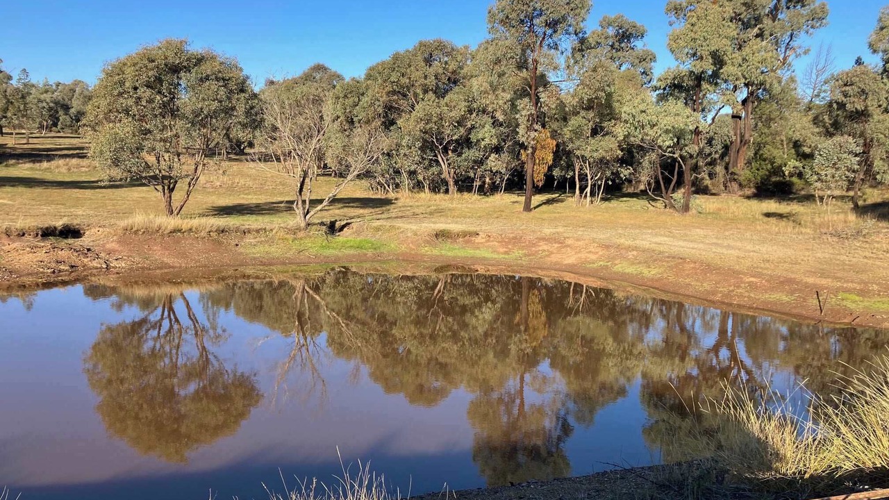 Photo of Others in Parkes