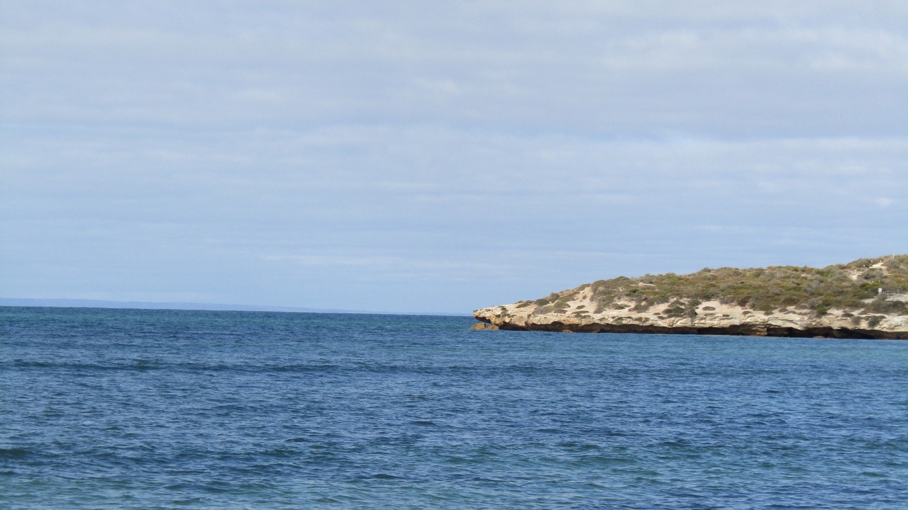 Photo of Others in Marion Bay