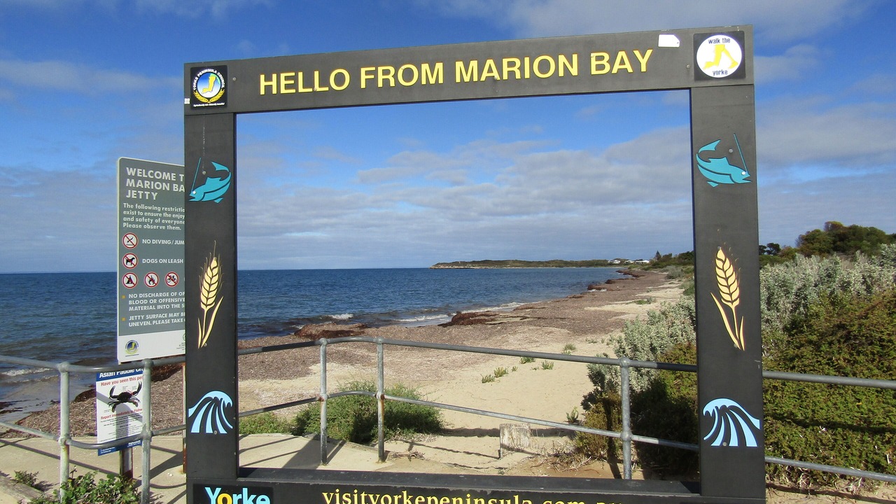 Photo of Others in Marion Bay