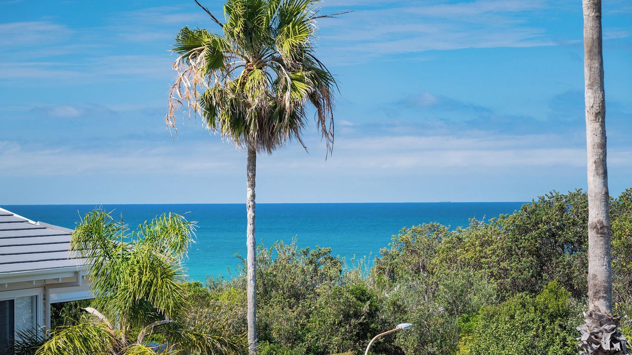 Photo of Others in Port Macquarie